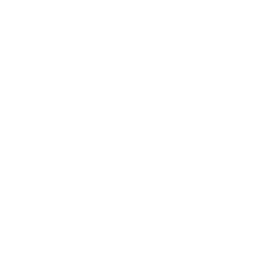 iPhone X Transparent